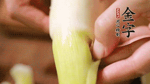 茭白剝?nèi)ネ鈿?，先切片再切絲。