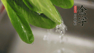 燒一鍋開水，滴一點油，水開后汆燙青菜至斷生即可。