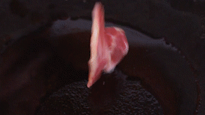 鍋中倒入橄欖油燒熱，放入淡火腿小火煸炒至打卷狀態(tài)。