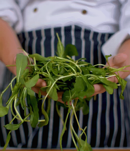 馬蘭頭焯水，切成細(xì)末。