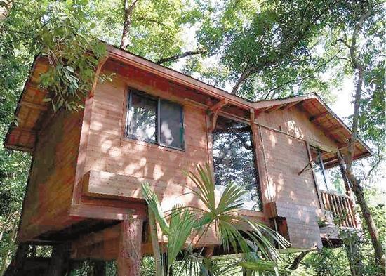   33611